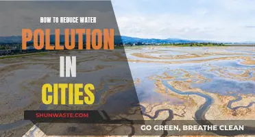 Cities' Water Pollution: Strategies for a Cleaner Future