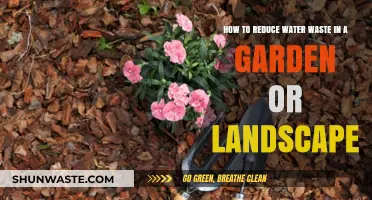Smart Gardening Tips to Minimize Water Waste and Save Resources