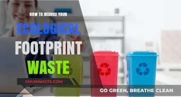 Sustainable Living: Simple Steps to Reduce Your Ecological Footprint Waste