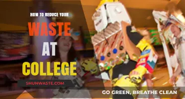 Sustainable College Living: Simple Tips to Reduce Your Waste