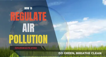 Air Pollution: Strategies for Regulation and Control