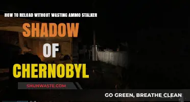 Efficient Reloading Tips to Save Ammo in Stalker Shadow of Chernobyl