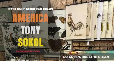 Urban Renewal: Tony Sokol's Guide to Revitalizing America's Wasted Spaces