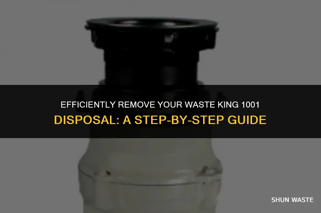 how to remove a waste king 1001 disposal
