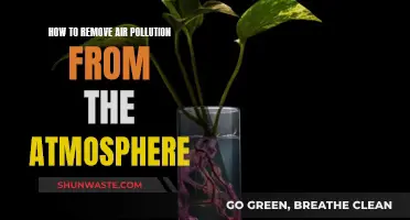 Eradicating Air Pollution: Innovative Methods for Cleaner Air