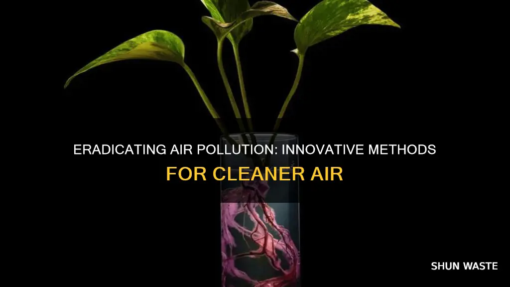 how to remove air pollution from the atmosphere