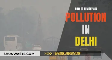 Delhi's Air Pollution: Strategies for a Breathable Future