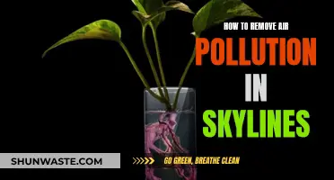 Eradicating Air Pollution: Clear Skies Ahead