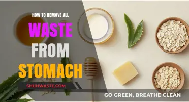 Effective Ways to Cleanse Your Stomach and Eliminate Waste Naturally