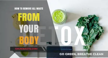 Detox Your Body: Effective Ways to Eliminate Waste Naturally