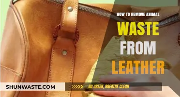 Effective Techniques for Removing Animal Waste Stains from Leather Surfaces