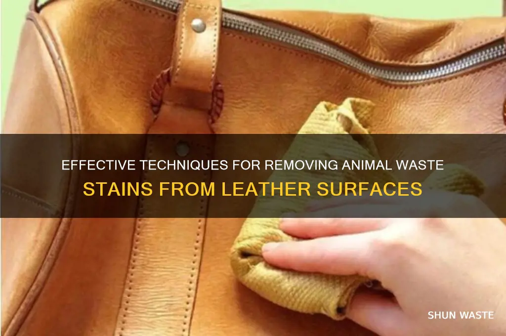 how to remove animal waste from leather