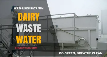 Effective Methods to Eliminate EDCs from Dairy Wastewater: A Comprehensive Guide