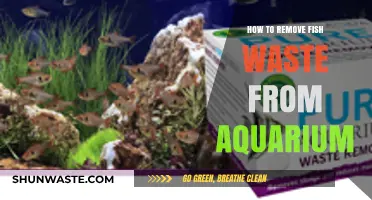 Effective Aquarium Cleaning: Removing Fish Waste for a Healthy Tank