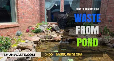 Effective Methods to Remove Fish Waste and Keep Your Pond Clean
