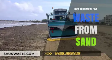 Effective Methods to Clean Fish Waste from Sand Substrates