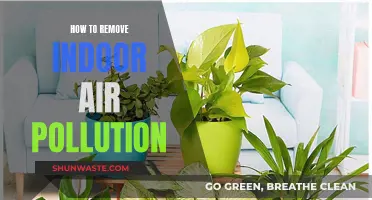 Purifying Indoor Air: Strategies to Breathe Cleaner at Home