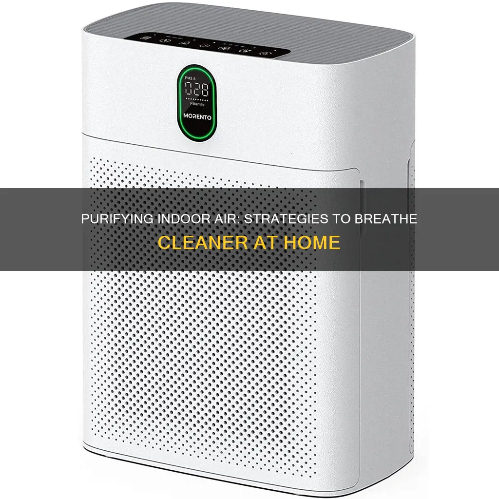 how to remove indoor air pollution