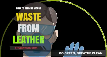 Effective Methods to Clean Mouse Waste from Leather Surfaces
