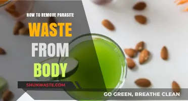 Effective Ways to Detoxify Your Body from Parasite Waste Naturally