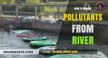 Cleaning Rivers: Strategies for Pollution Removal