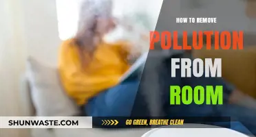 Purifying Your Room: Removing Pollution and Toxins