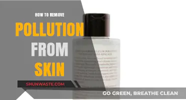 Protecting Skin from Pollution: Natural Ways to Detox