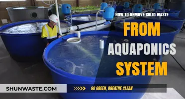 Effective Methods for Removing Solid Waste in Aquaponics Systems