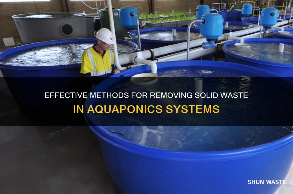 how to remove solid waste from aquaponics system