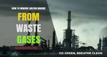 Effective Methods to Eliminate Sulfur Dioxide from Industrial Waste Gases