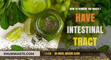 Effective Ways to Cleanse and Detox Your Intestinal Tract Naturally