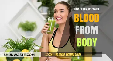 Effective Methods to Detoxify and Eliminate Waste Blood Naturally