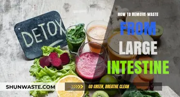 Effective Strategies for Removing Waste from Your Large Intestine