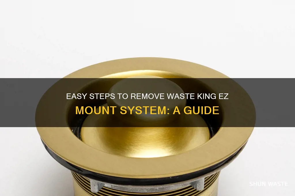 how to remove waste king ez mount system