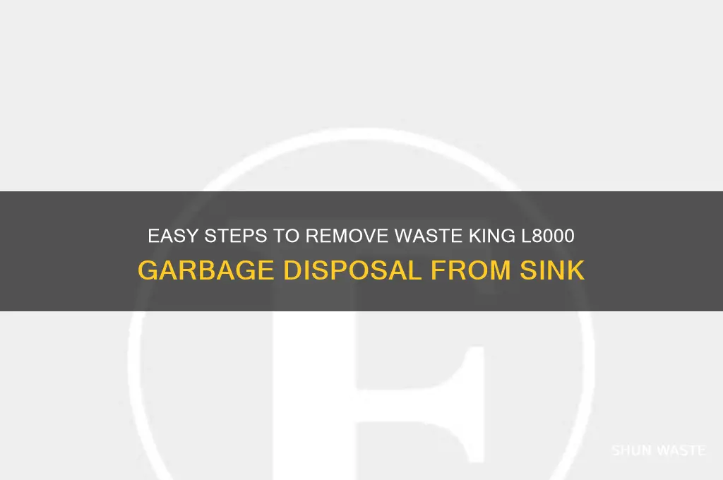 how to remove waste king l8000 from sink