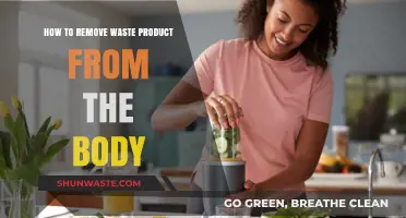 Effective Ways to Detoxify and Eliminate Waste from Your Body