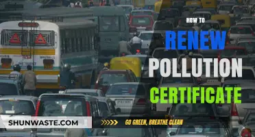Get Your Pollution Certificate: Quick and Easy Steps
