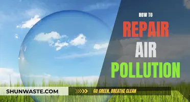 Repairing Air Pollution: Strategies for a Cleaner Tomorrow