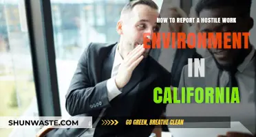 Reporting a Hostile Work Environment in California: A Step-by-Step Guide