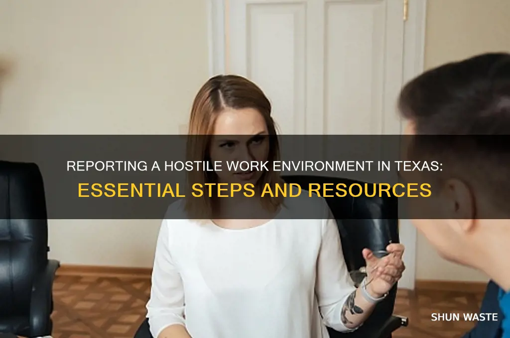 how to report a hostile work environment in texas