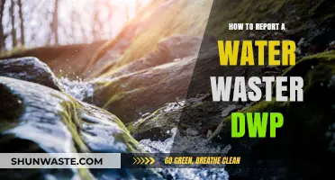 Reporting Water Waste to DWP: A Step-by-Step Guide to Conserving Resources