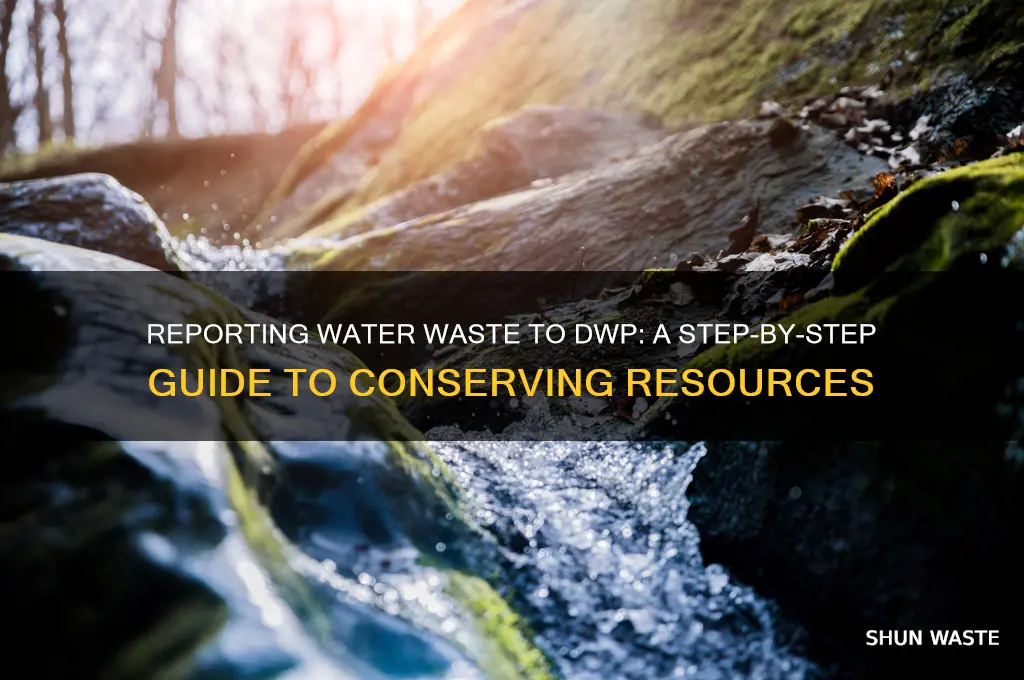 how to report a water waster dwp