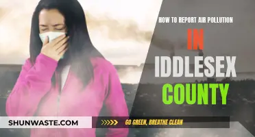 Report Air Pollution: Middlesex County Action Plan
