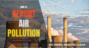 Report Air Pollution: Know the Steps to Take Action