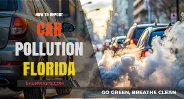 Florida Car Pollution: Know Your Rights and Report It