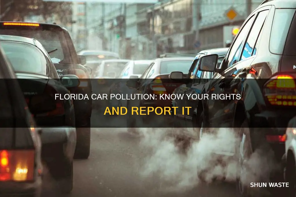 how to report car pollution florida