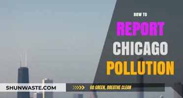 Chicago Pollution: Reporting for Cleaner Air