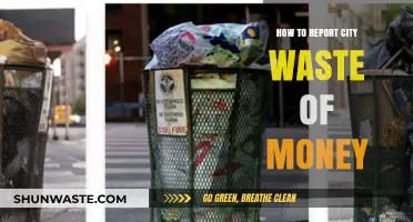 Exposing City Waste: A Citizen's Guide to Reporting Misspent Funds