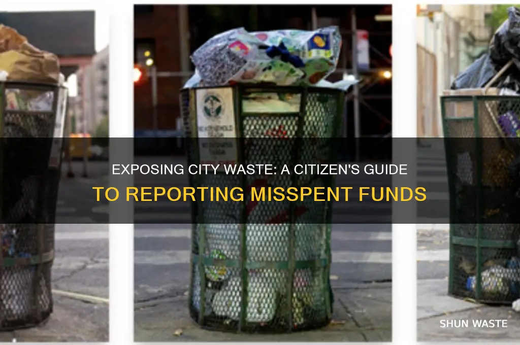 how to report city waste of money