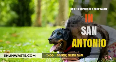 San Antonio's Guide to Reporting Dog Waste: Keep Your Neighborhood Clean